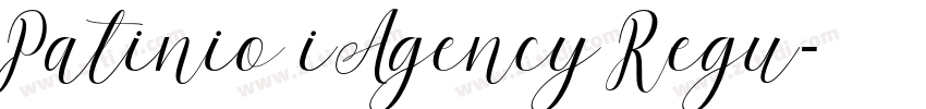 Patinio iAgency Regu字体转换